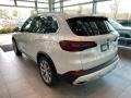 2022 Mineral White Metallic BMW X5 xDrive40i  photo #2