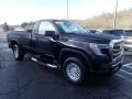 Onyx Black - Sierra 1500 Regular Cab 4WD Photo No. 9