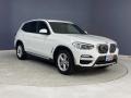 Alpine White - X3 sDrive30i Photo No. 38