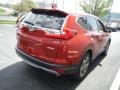 Molten Lava Pearl - CR-V EX AWD Photo No. 7