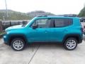Bikini Metallic - Renegade Sport 4x4 Photo No. 2