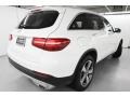 Polar White - GLC 300 Photo No. 5
