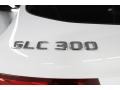 Polar White - GLC 300 Photo No. 11