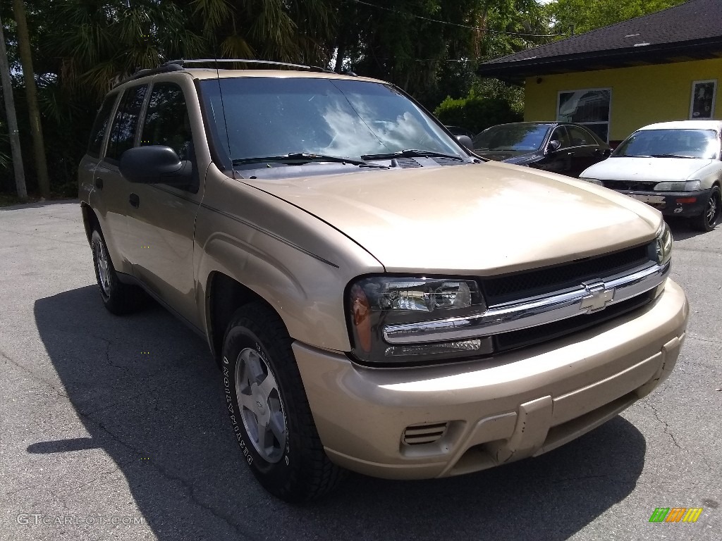 2005 TrailBlazer LS - Sandstone Metallic / Light Cashmere/Ebony photo #1