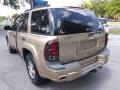 2005 Sandstone Metallic Chevrolet TrailBlazer LS  photo #5