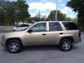 2005 Sandstone Metallic Chevrolet TrailBlazer LS  photo #6