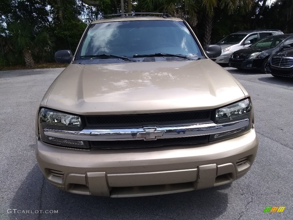 2005 TrailBlazer LS - Sandstone Metallic / Light Cashmere/Ebony photo #8