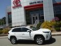 Super White - RAV4 XLE AWD Photo No. 2