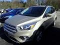 2018 White Gold Ford Escape SE 4WD #144165656