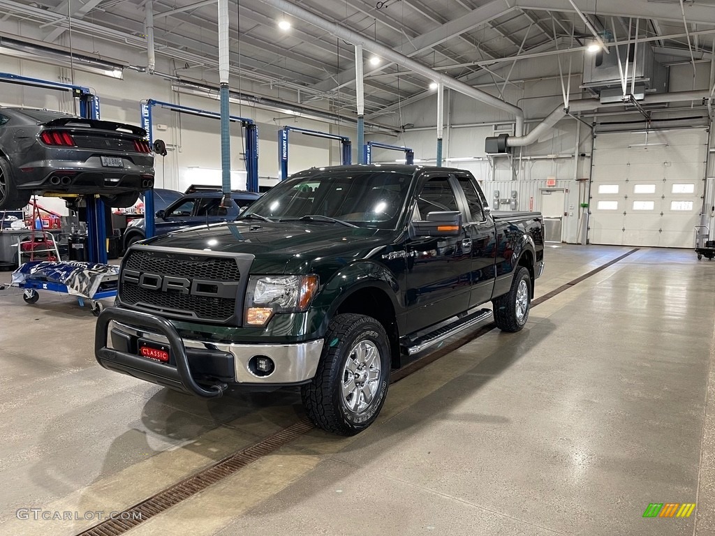 Green Gem Metallic Ford F150