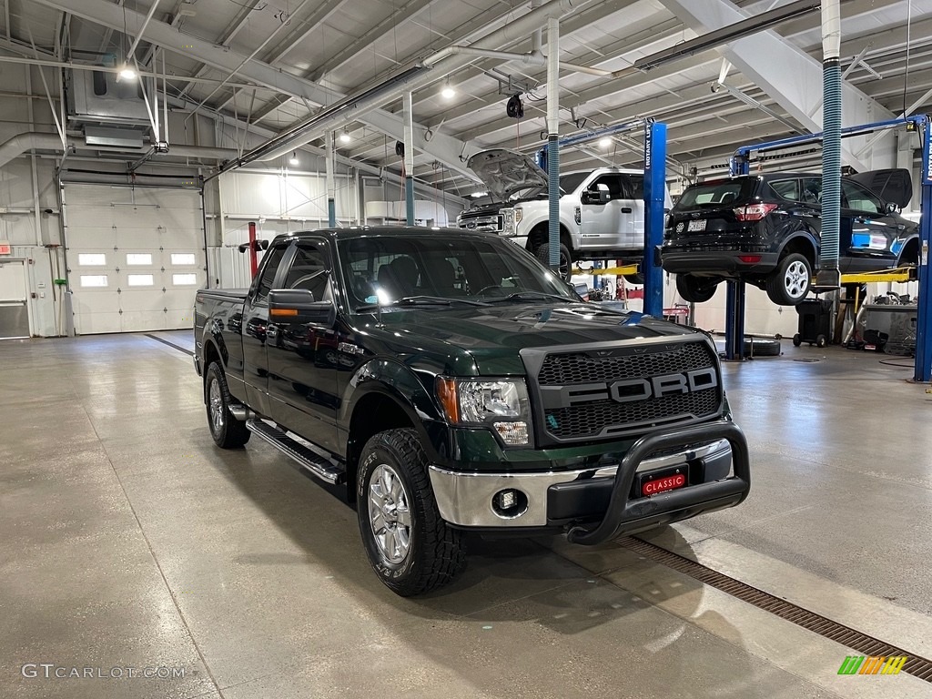 2013 F150 XLT SuperCab 4x4 - Green Gem Metallic / Steel Gray photo #3