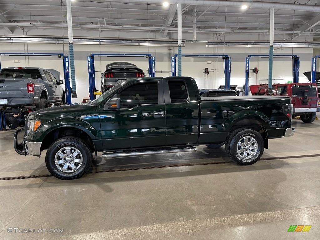 2013 F150 XLT SuperCab 4x4 - Green Gem Metallic / Steel Gray photo #8