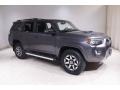 Magnetic Gray Metallic - 4Runner TRD Off-Road 4x4 Photo No. 1