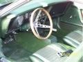 Green 1971 Ford Mustang Mach 1 Interior Color