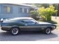 1971 Forest Green Ford Mustang Mach 1  photo #5