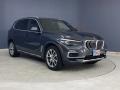 Arctic Grey Metallic - X5 xDrive40i Photo No. 38