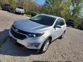 Silver Ice Metallic - Equinox LT Photo No. 4