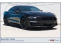 2019 Shadow Black Ford Mustang EcoBoost Premium Fastback  photo #1