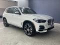 Alpine White 2022 BMW X5 sDrive40i Exterior