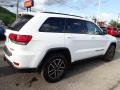 2019 Bright White Jeep Grand Cherokee Trailhawk 4x4  photo #6