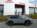 Lunar Rock - RAV4 Adventure AWD Photo No. 2