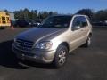 Desert Silver Metallic 2002 Mercedes-Benz ML 500 4Matic