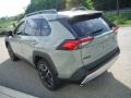 Lunar Rock - RAV4 Adventure AWD Photo No. 15