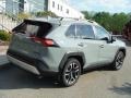 Lunar Rock - RAV4 Adventure AWD Photo No. 17