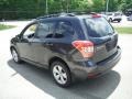 Dark Gray Metallic - Forester 2.5i Premium Photo No. 13