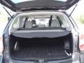 Dark Gray Metallic - Forester 2.5i Premium Photo No. 29