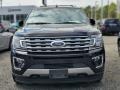 2019 Agate Black Metallic Ford Expedition Limited 4x4  photo #2