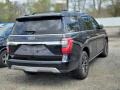 2019 Agate Black Metallic Ford Expedition Limited 4x4  photo #3