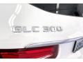 Polar White - GLC 300 Photo No. 31