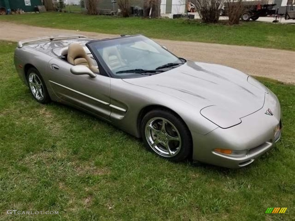 Light Pewter Metallic 1999 Chevrolet Corvette Convertible Exterior Photo #144250131