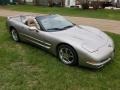 Light Pewter Metallic 1999 Chevrolet Corvette Convertible Exterior