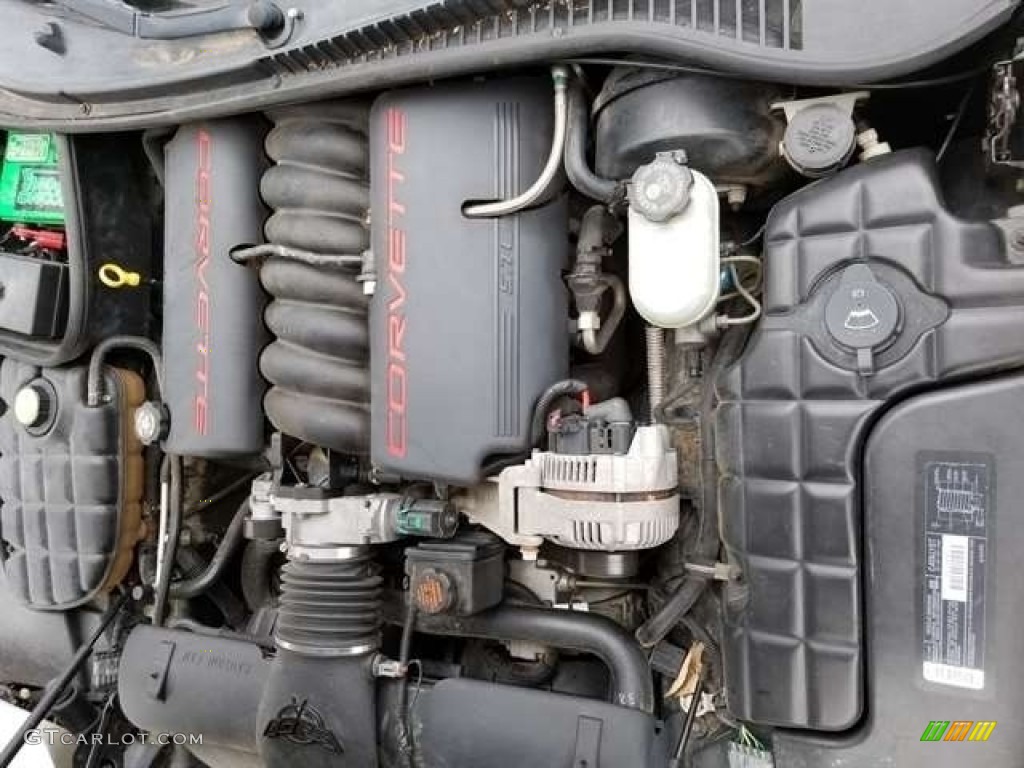 1999 Chevrolet Corvette Convertible 5.7 Liter OHV 16-Valve LS1 V8 Engine Photo #144250200