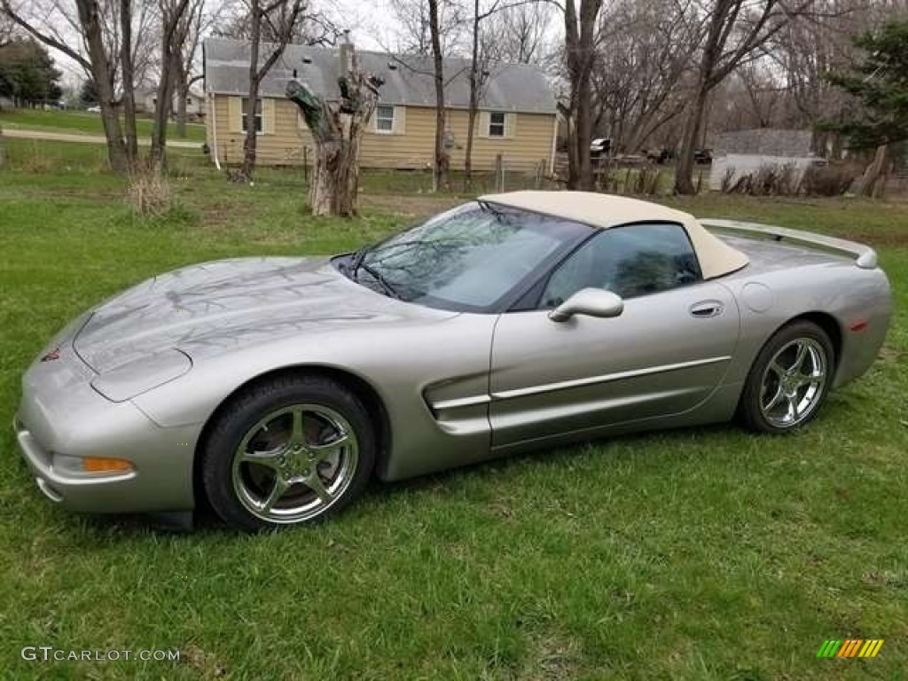 Light Pewter Metallic 1999 Chevrolet Corvette Convertible Exterior Photo #144250257