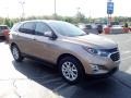 2019 Sandy Ridge Metallic Chevrolet Equinox LT AWD  photo #11