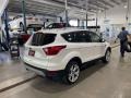 2019 White Platinum Ford Escape Titanium 4WD  photo #5