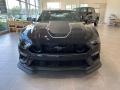 Shadow Black - Mustang Mach 1 Photo No. 2