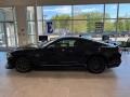 Shadow Black - Mustang Mach 1 Photo No. 4