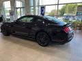 Shadow Black - Mustang Mach 1 Photo No. 5