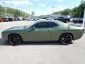 F8 Green 2019 Dodge Challenger R/T Scat Pack Stars and Stripes Edition Exterior