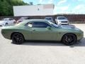 F8 Green 2019 Dodge Challenger R/T Scat Pack Stars and Stripes Edition Exterior