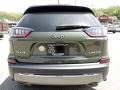 2019 Olive Green Pearl Jeep Cherokee Limited 4x4  photo #4