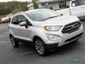Moondust Silver Metallic - EcoSport Titanium Photo No. 25