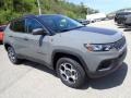 Sting Gray - Compass Trailhawk 4x4 Photo No. 8