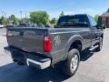 Magnetic Metallic 2016 Ford F250 Super Duty XLT Regular Cab 4x4 Exterior