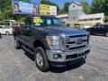 2016 Magnetic Metallic Ford F250 Super Duty XLT Regular Cab 4x4  photo #7