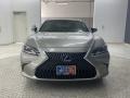 Atomic Silver - ES 300h Photo No. 2